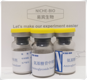 Aminoglycoside neutralizer